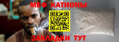 шишки Дубна