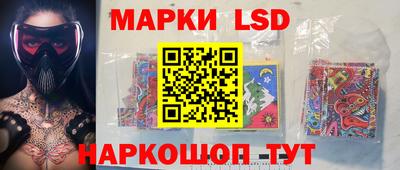 шишки Дубна