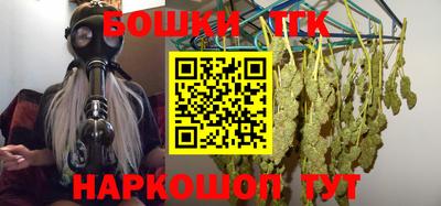 шишки Дубна