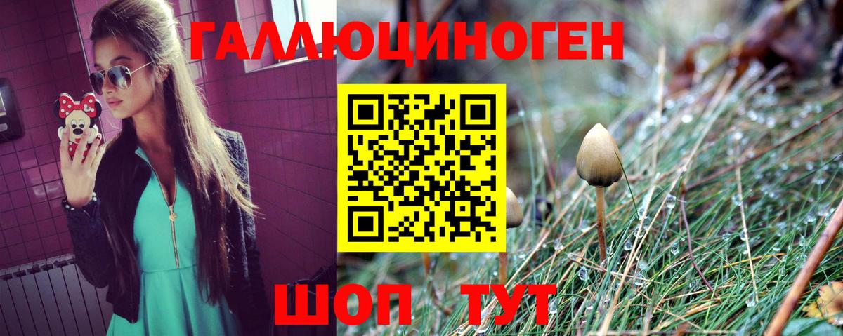 Псилоцибиновые грибы прущие грибы  Галлюциногенные грибы мицелий  Сегежа  Вход с VPN 