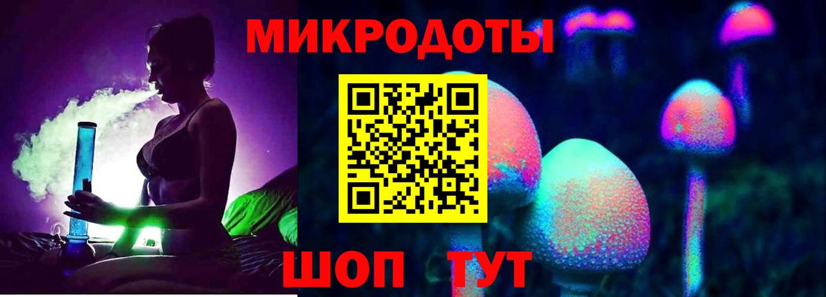 Галлюциногенные грибы Cubensis Сегежа